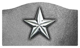 DASHELL-430-SL-SL Star Silver-Silver